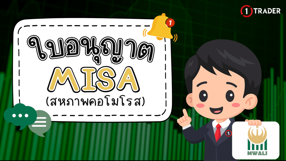 ใบอนุญาต MISA คืออะไร