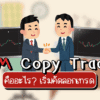 XM Copy Trade คืออะไร? ระบบคัดลอกการเทรดสำหรับมือใหม่ 2025