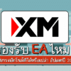 XM รองรับ EA ไหม ใช้เทรดอัตโนมัติได้หรือเปล่า อัปเดตปี 2025
