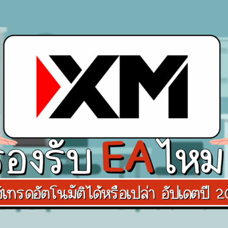 XM รองรับ EA ไหม ใช้เทรดอัตโนมัติได้หรือเปล่า อัปเดตปี 2025